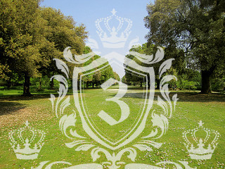 Park Royal NW10 domestic removals